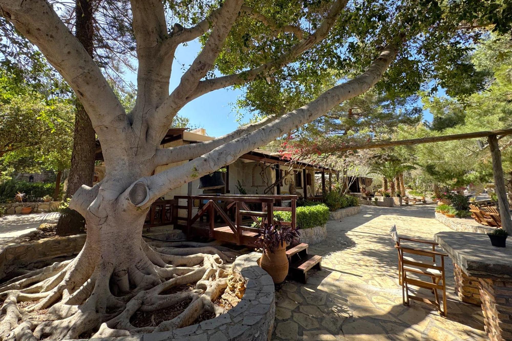 Stella'S Traditional Inn Zakros Bilik gambar